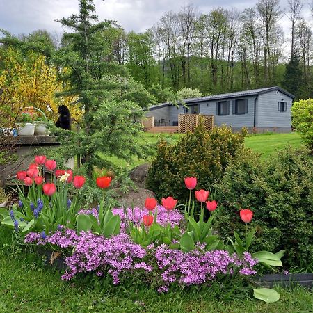 Chata Idylka - Nova Chata Se Zahradou Loučná nad Desnou Dış mekan fotoğraf
