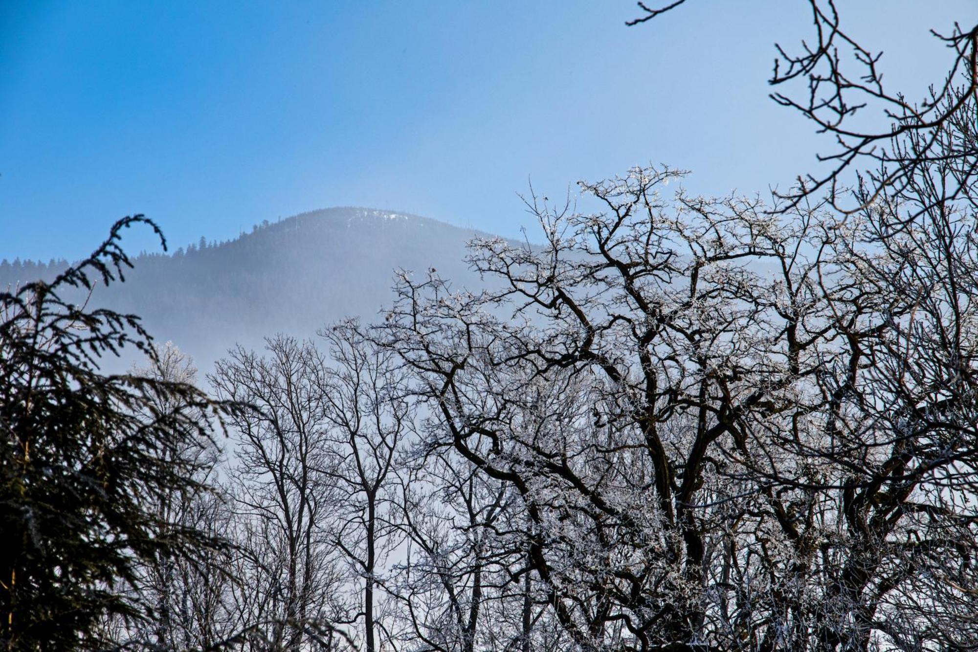 Chata Idylka - Nova Chata Se Zahradou Loučná nad Desnou Dış mekan fotoğraf