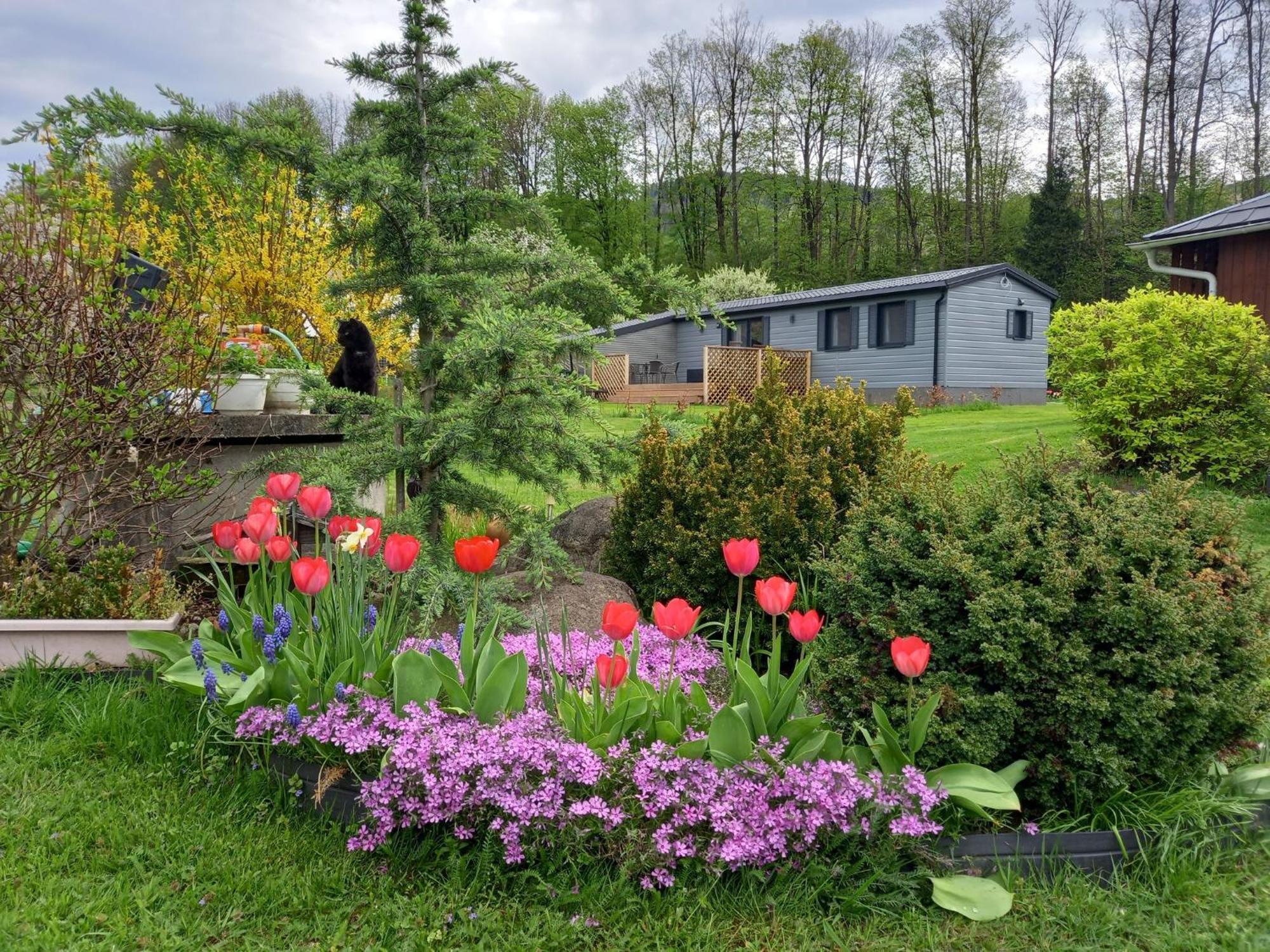 Chata Idylka - Nova Chata Se Zahradou Loučná nad Desnou Dış mekan fotoğraf